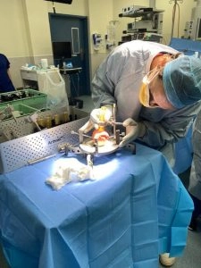 Ross Radic Performing Osteochondral Allograft Knee Surgery